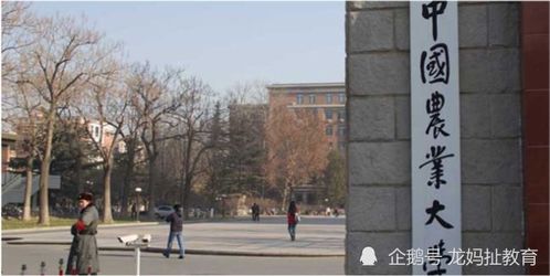 重慶迎五所雙一流大學布局，含兩所985高校南京環保工程校區